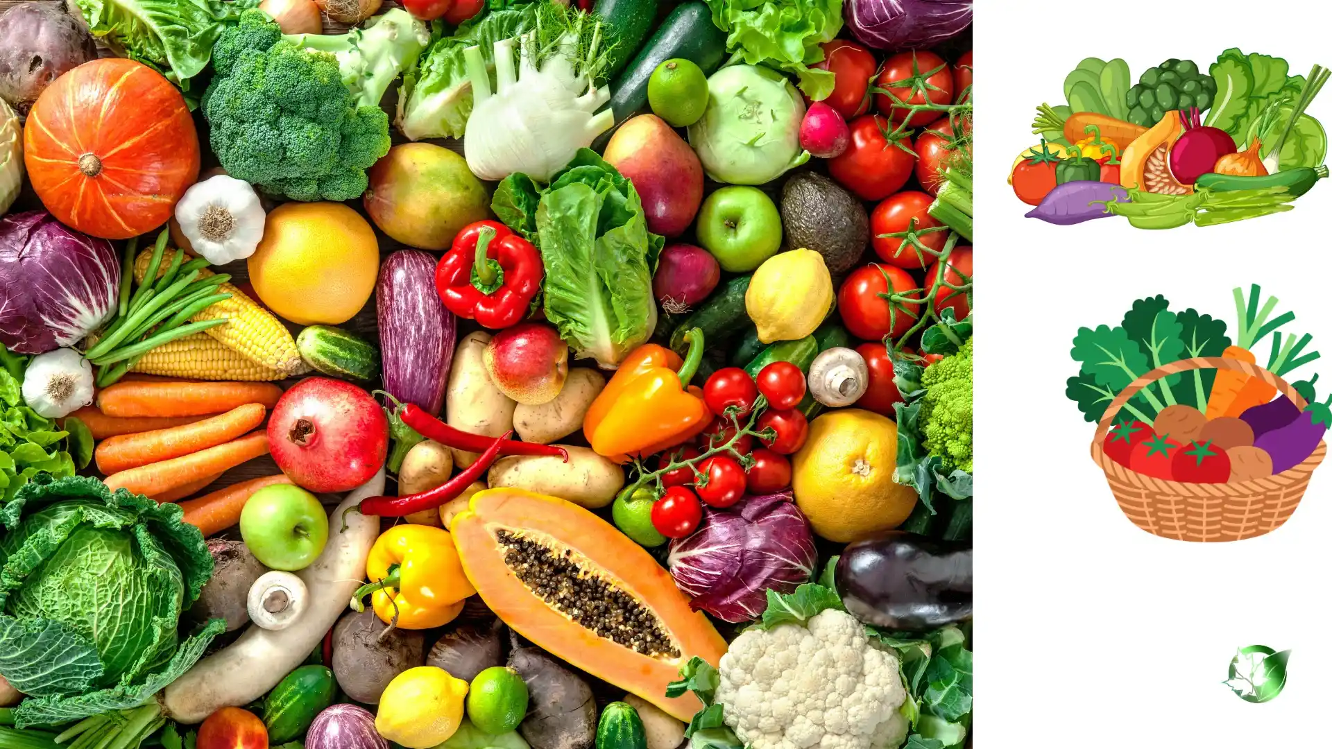 Fresh Vegetables quality, format, and packaging should be matched to the buyer’s target application.